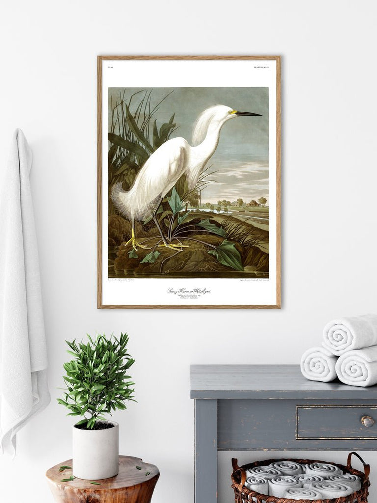 Snowy Heron Framed Art Print - 50x70 6522 - Uneeka