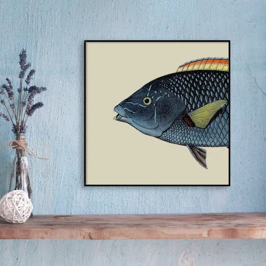 Spotted Wrasse Fish Head Framed Art Print - 30x30 5613 - Uneeka