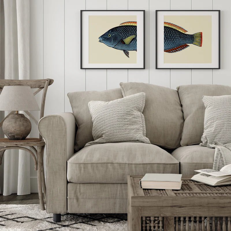 Spotted Wrasse Fish Head Framed Art Print - OFG 30x30 5613 - Uneeka
