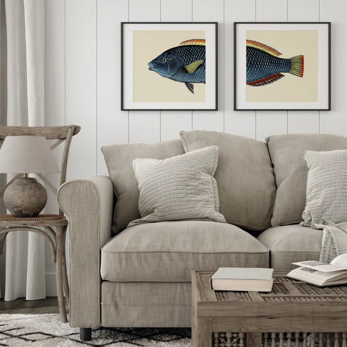 Spotted Wrasse Fish Tail Framed Art Print - BFG 30x30 5614 - Uneeka
