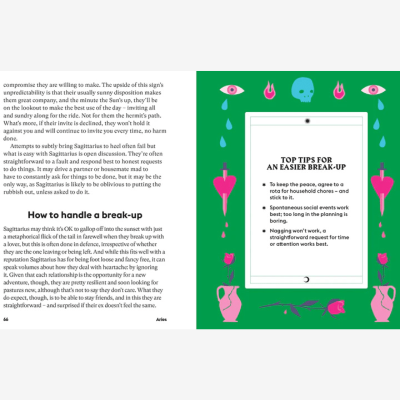 Stella Andromeda: Sagittarius Astrological Book - B046689 - Uneeka