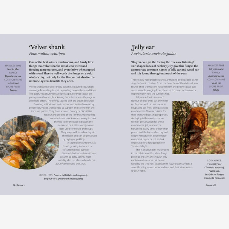 The Forager's Almanac Book - B073882 - Uneeka