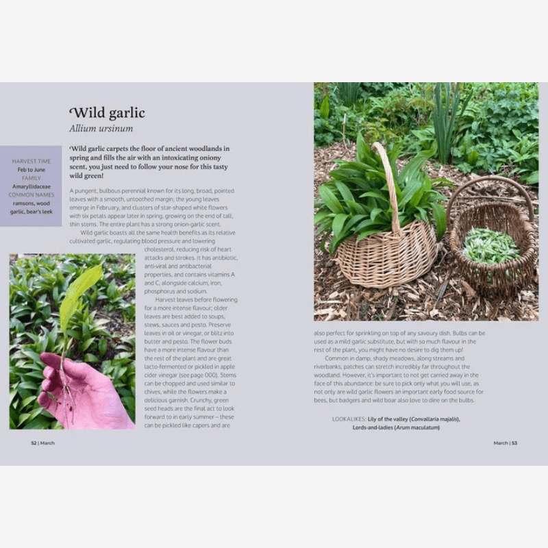 The Forager's Almanac Book - B073882 - Uneeka