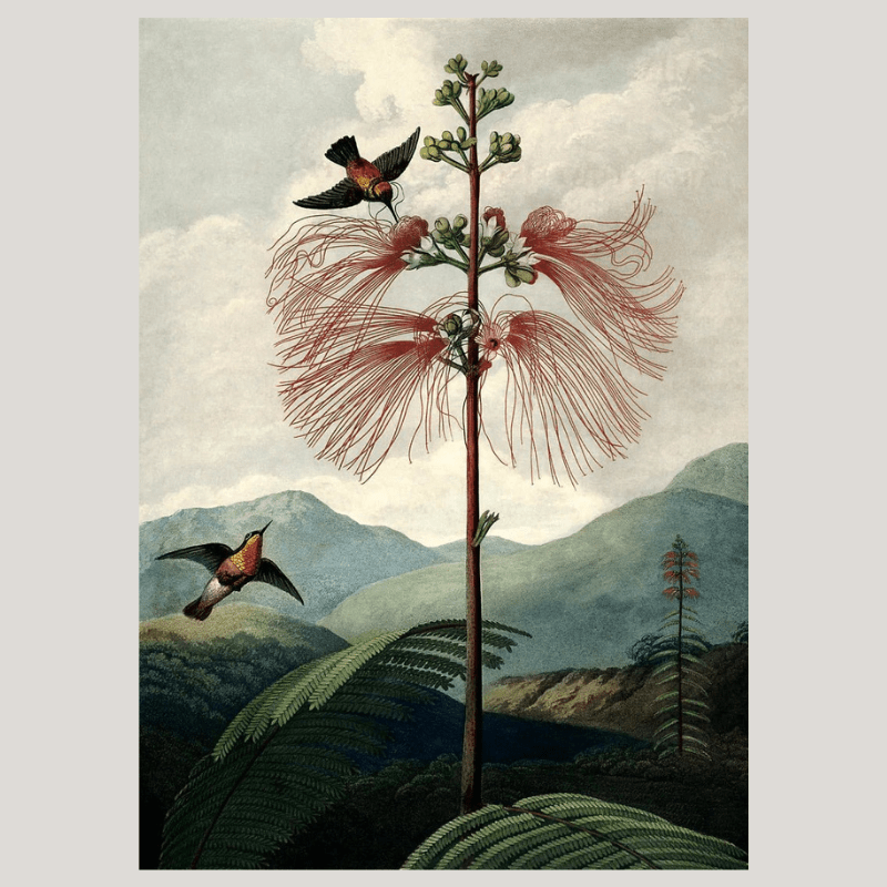 The Tree Of Flowers Flora Framed Art Print - 50x70 9604 - Uneeka