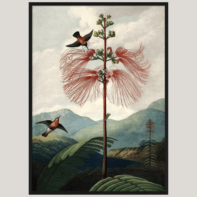 The Tree Of Flowers Flora Framed Art Print - BFG 50x70 9604 - Uneeka