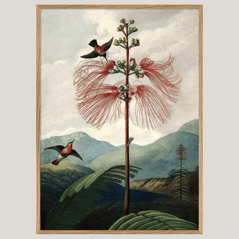 The Tree Of Flowers Flora Framed Art Print - OFG 50x70 9604 - Uneeka