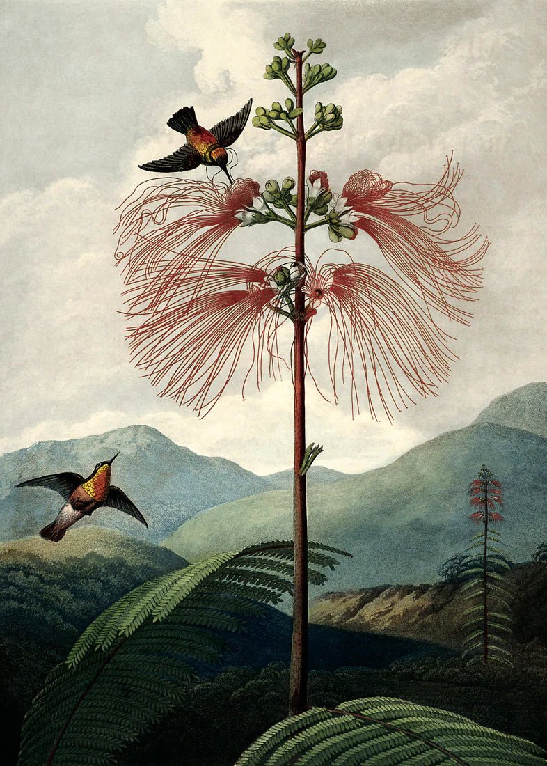 The Tree Of Flowers Flora Framed Print - 50x70 9604 - Uneeka