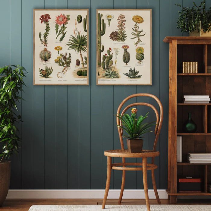 Variety of Cacti Framed Art Print (LEFT) - OFG 30x40 2927L - Uneeka