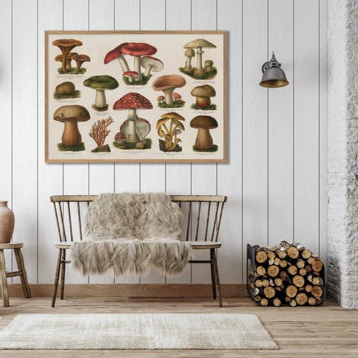 Variety of Mushrooms Fungi Framed Art Print - OFG 50x70 2928H - Uneeka