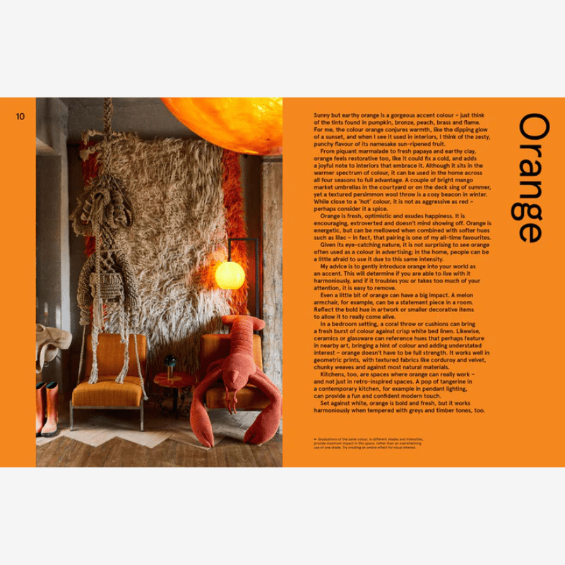 Vivid: Style in Colour Interior Design Book* - B056062 - Uneeka