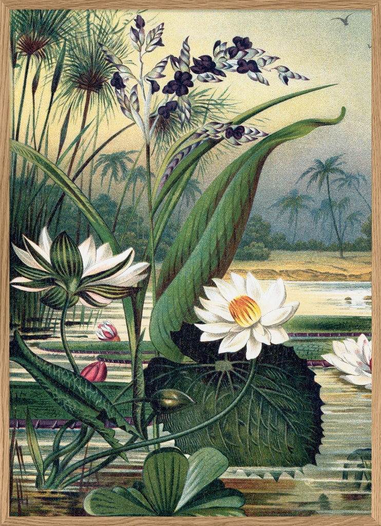 Water Plants Framed Art Print - OFG 50x70 2924L - Uneeka