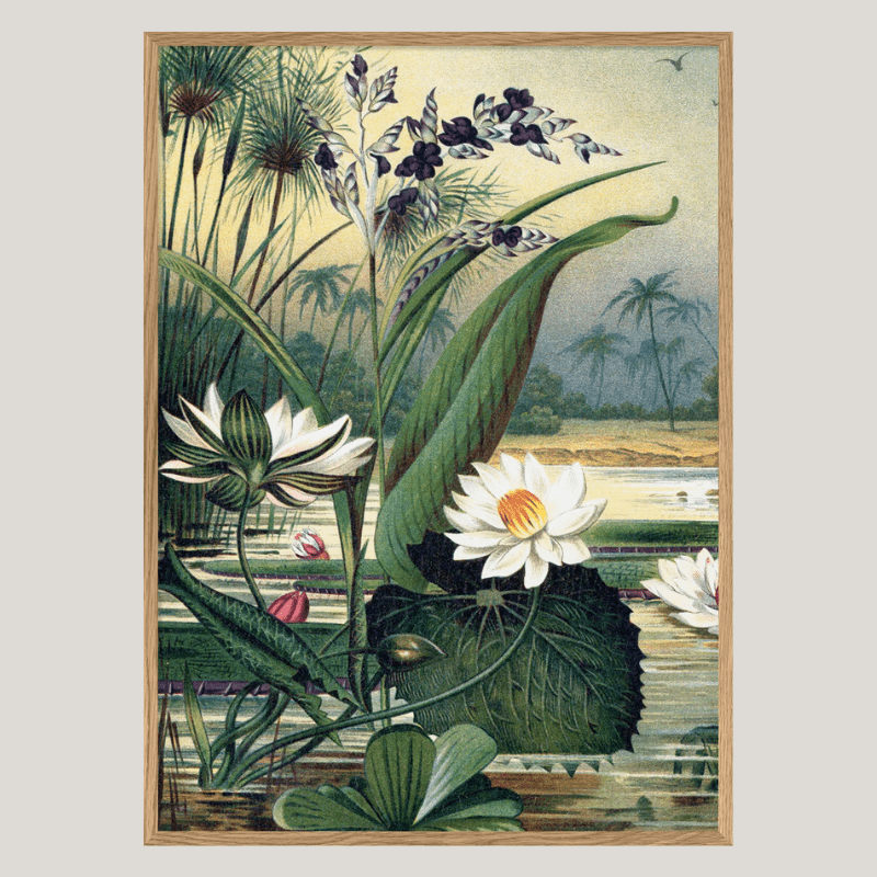 Water Plants Framed Art Print - OFG 50x70 2924L - Uneeka