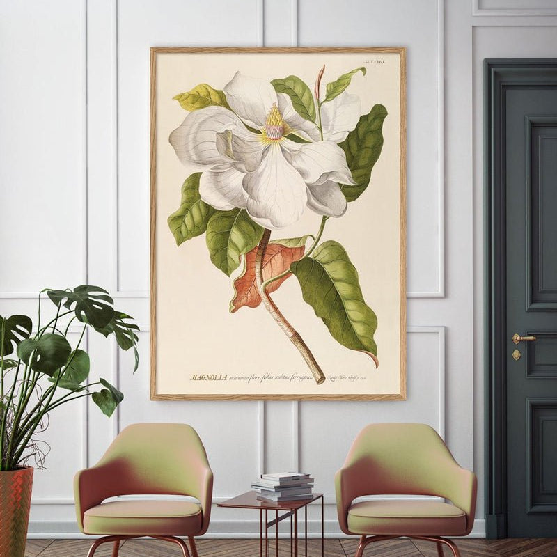 White Magnolia Art Print - OFG 50x70 3713 - Uneeka