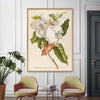 White Magnolia Art Print - OFG 50x70 3713 - Uneeka