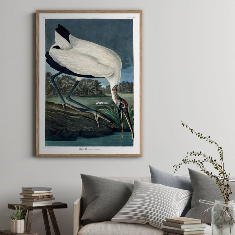 Wood Ibis Framed Art Print - OFG 50x70 6516 - Uneeka