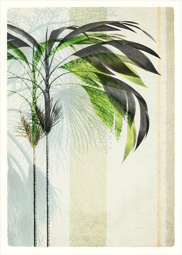Botanical Composition Framed Print