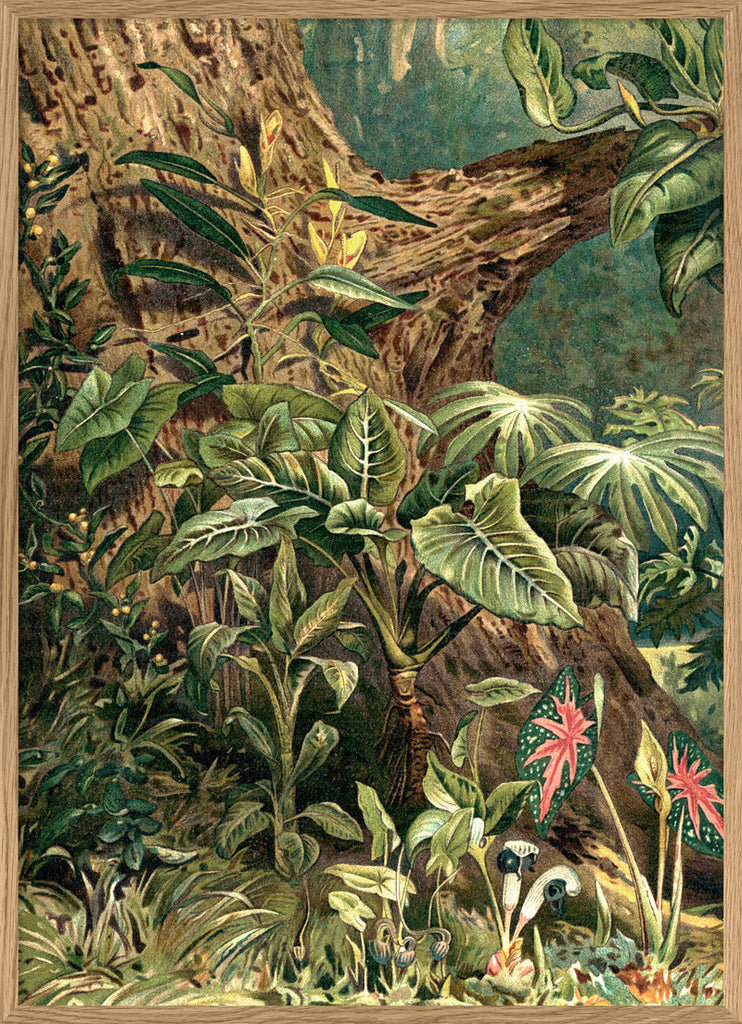Aracae Print in Oak Frame (LEFT)