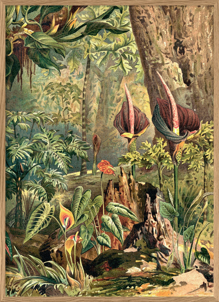 Aracae Jungle Print in Oak Frame (RIGHT)