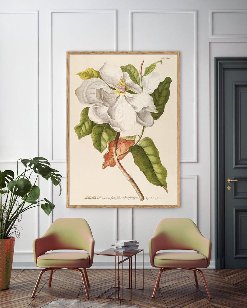 Magnolia Art Print in Oak Frame