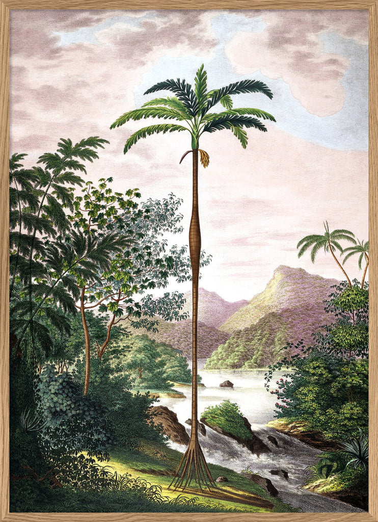 Jungle with Slim Palm Tree Framed Print