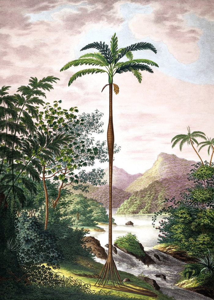 Jungle with slim palm tree print
