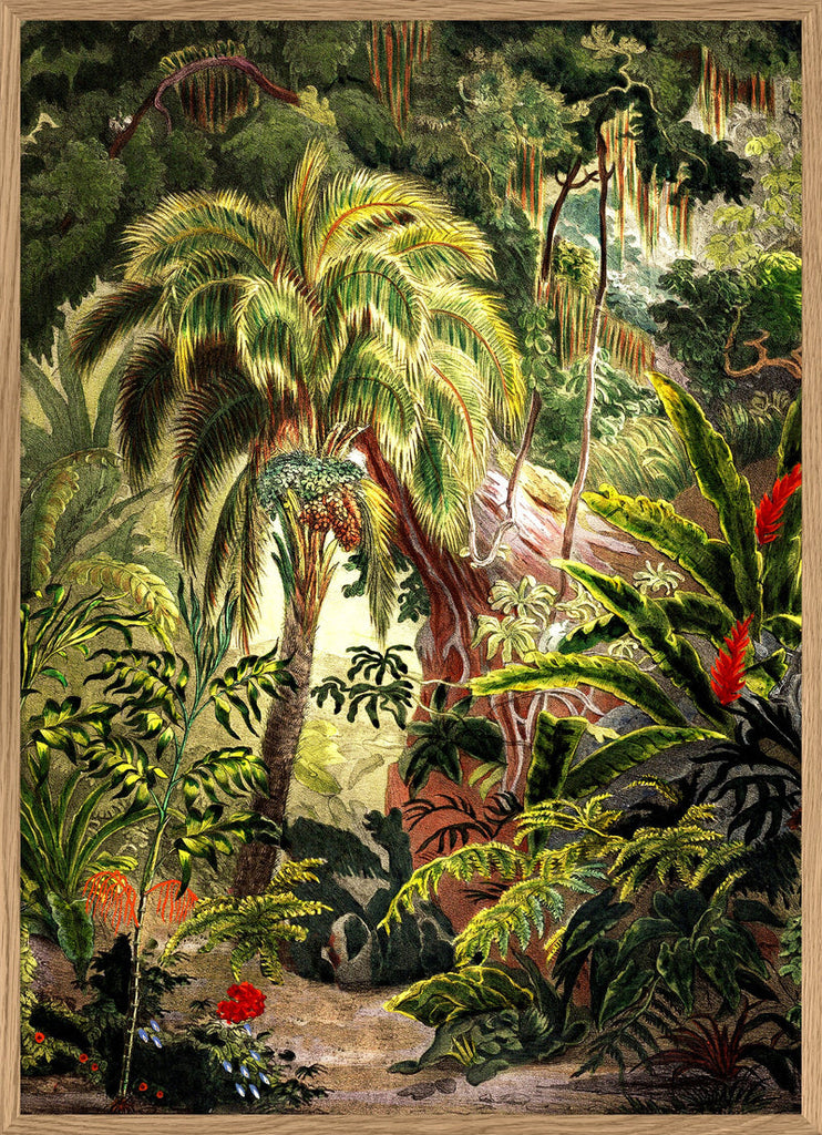 Jungle Framed Print in Oak Frame