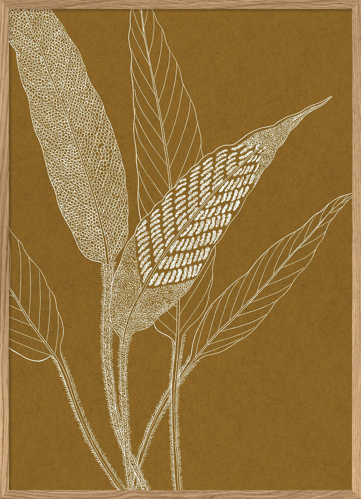 Ferns on Dark Mustard Print in Oak Frame