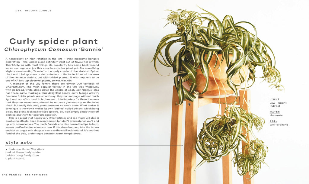 Indoor Jungle House Plant Book