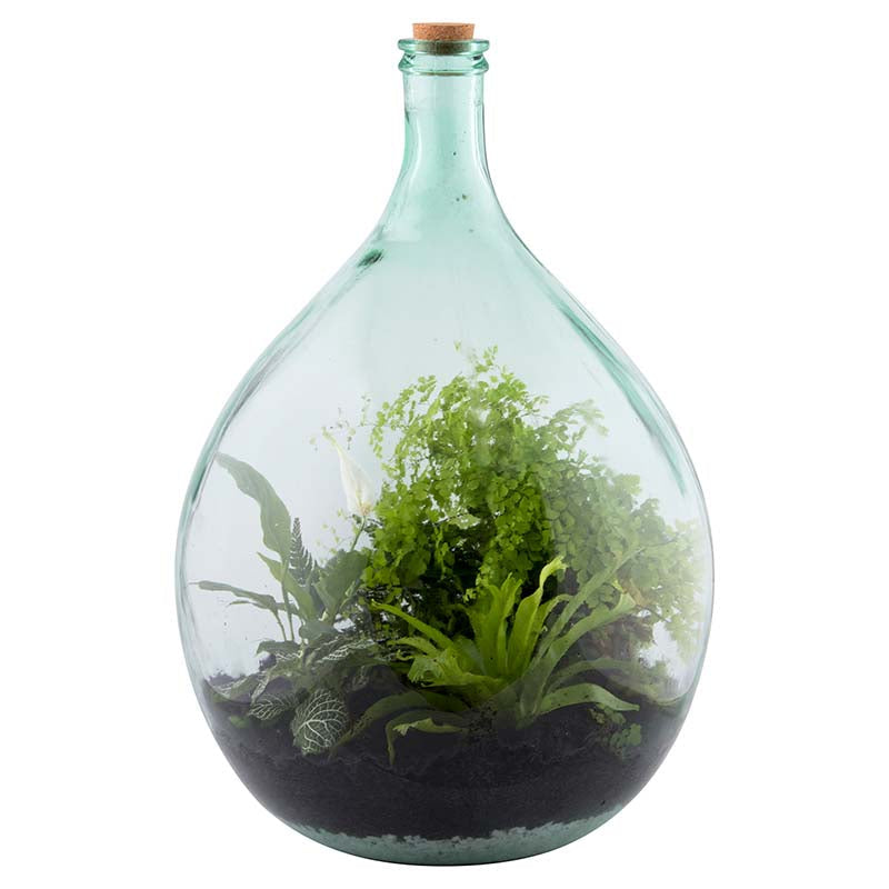 The set contains a Terrarium bottle, cork, telescopic fork and trowel. Also included is the soil, gravel and activated charcoal needed to establish the ecosystem.