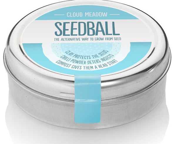 Assorted Seedball Tins Cloud Meadow 