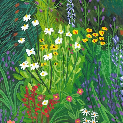 Illustrated Wild Flower Garden Greetings Card