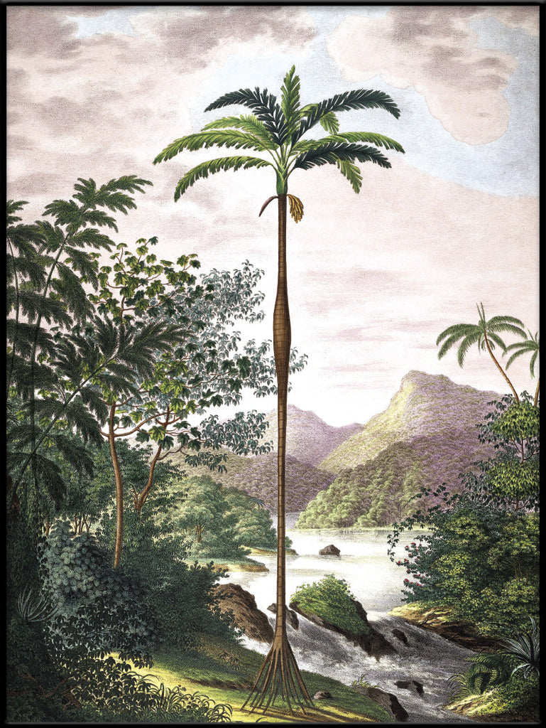 Jungle with Slim Palm Tree Framed Print