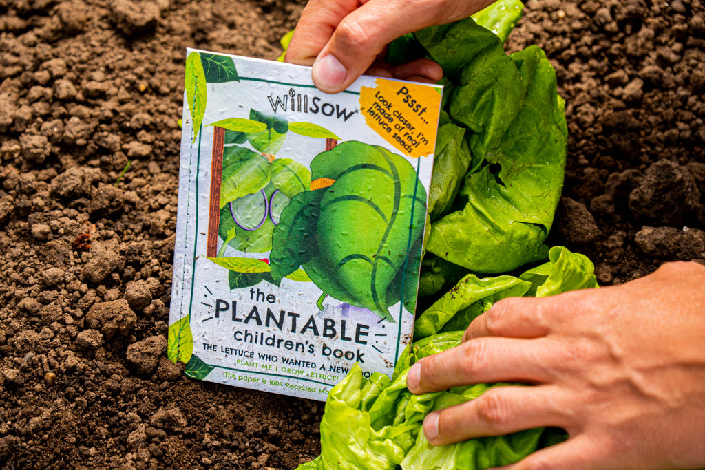The Lettuce Who Wanted A New Look The Plantable Book