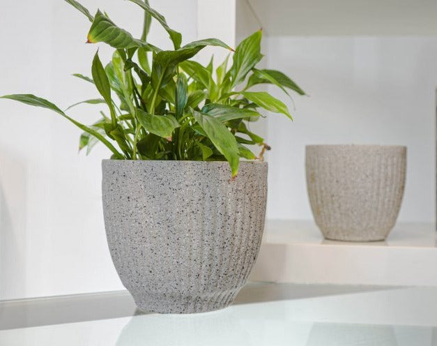 Limestone Effect Indoor Plant Pot beige