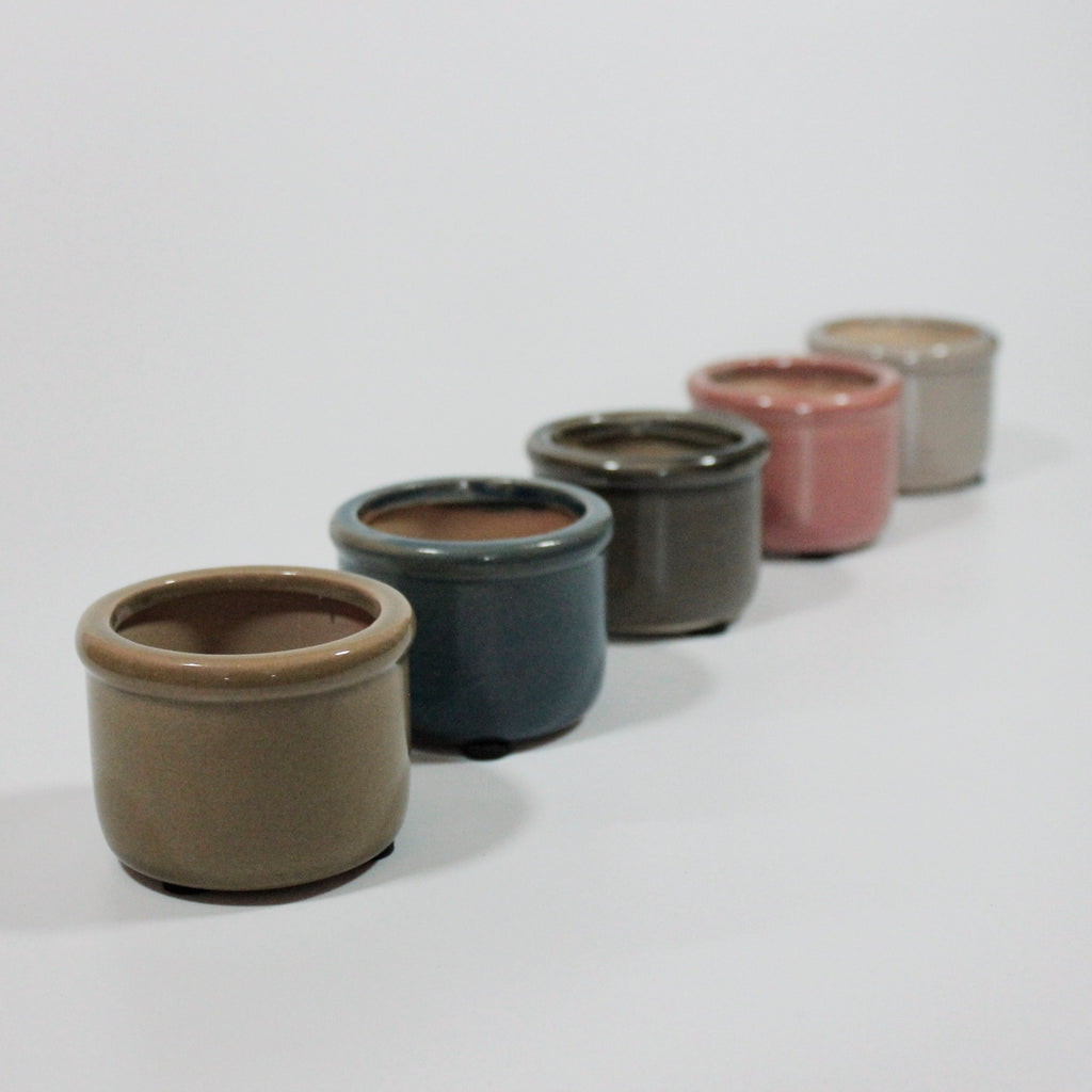 Hilda Mini Pot with Crackled Surface