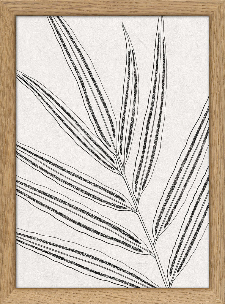 IX. Ink Botanical Study Print in Oak Frame