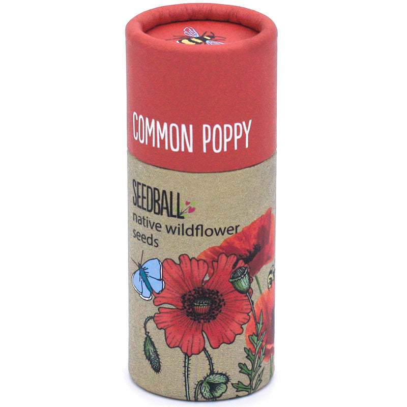 Seedball-Wildflower-Tubes common poppy pink