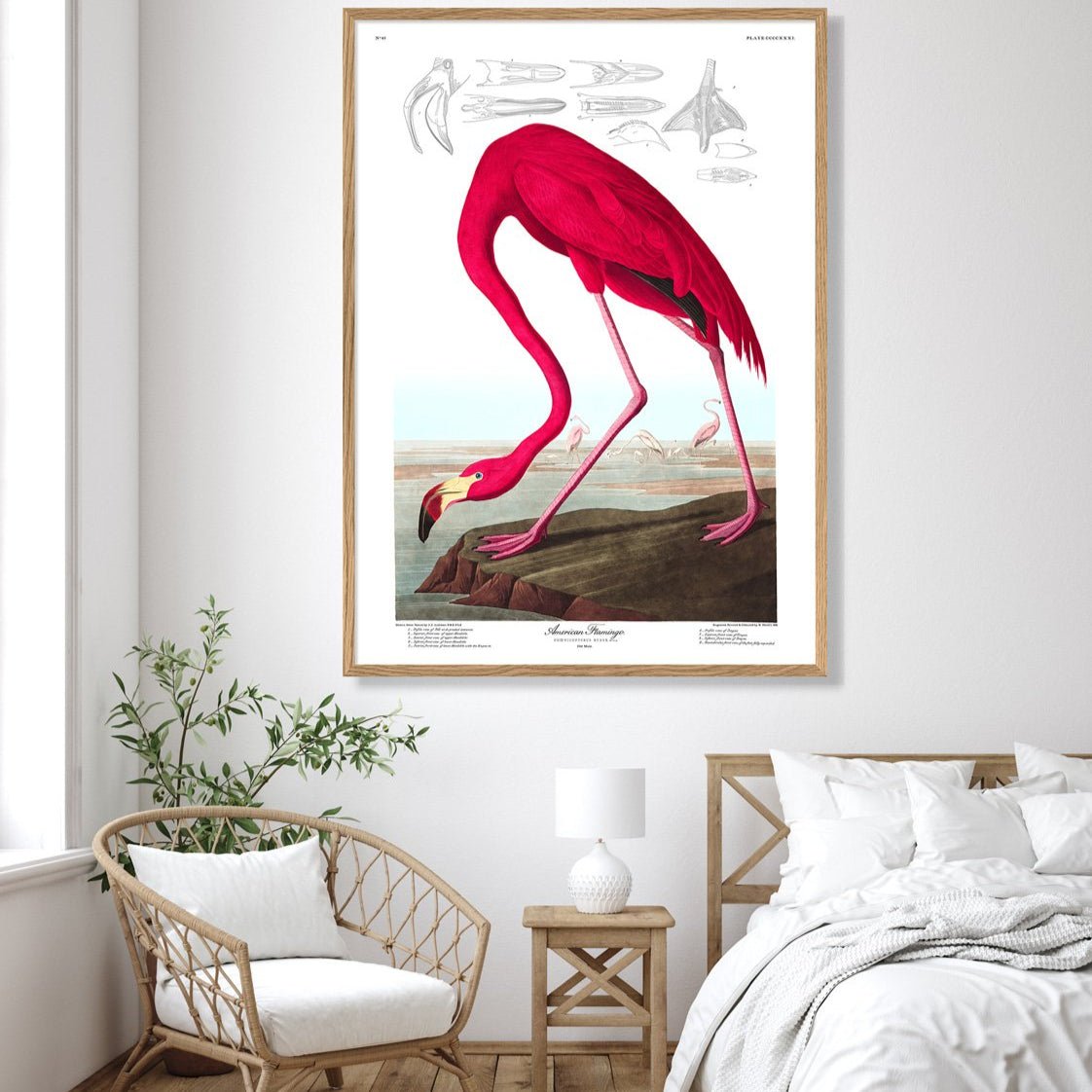 American Flamingo Framed Art Print - OFP 50x70 6500 - Uneeka