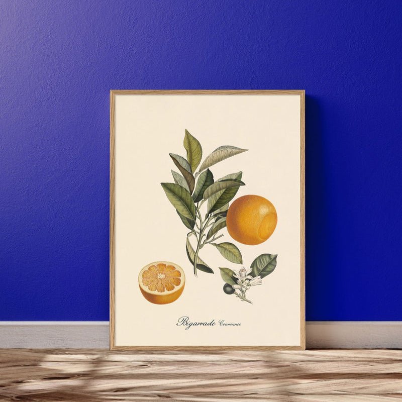 Bigarrade Oranges Framed Art Print - BFG 50x70 3603 - Uneeka