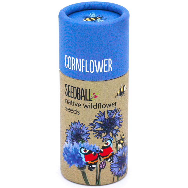 Seedball Wildflower Tube-Cornflower-Blue