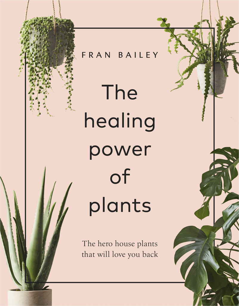 The Healing Power Of Plants Book