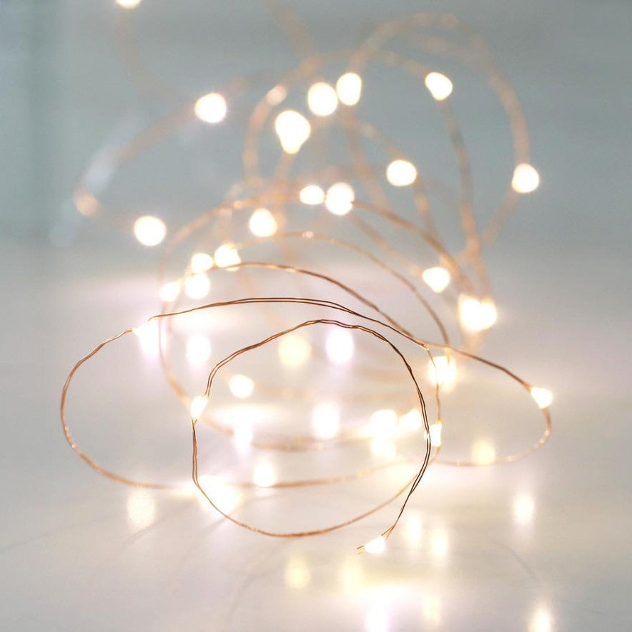 30 Battery Powered LED Wire String Lights Copper Wire