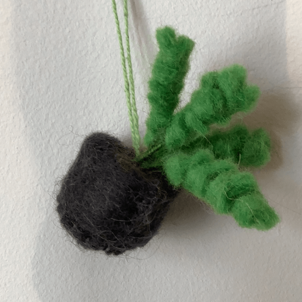 Handmade Felt Biodegradable Hanging Mini Plants Zanzibar Gem
