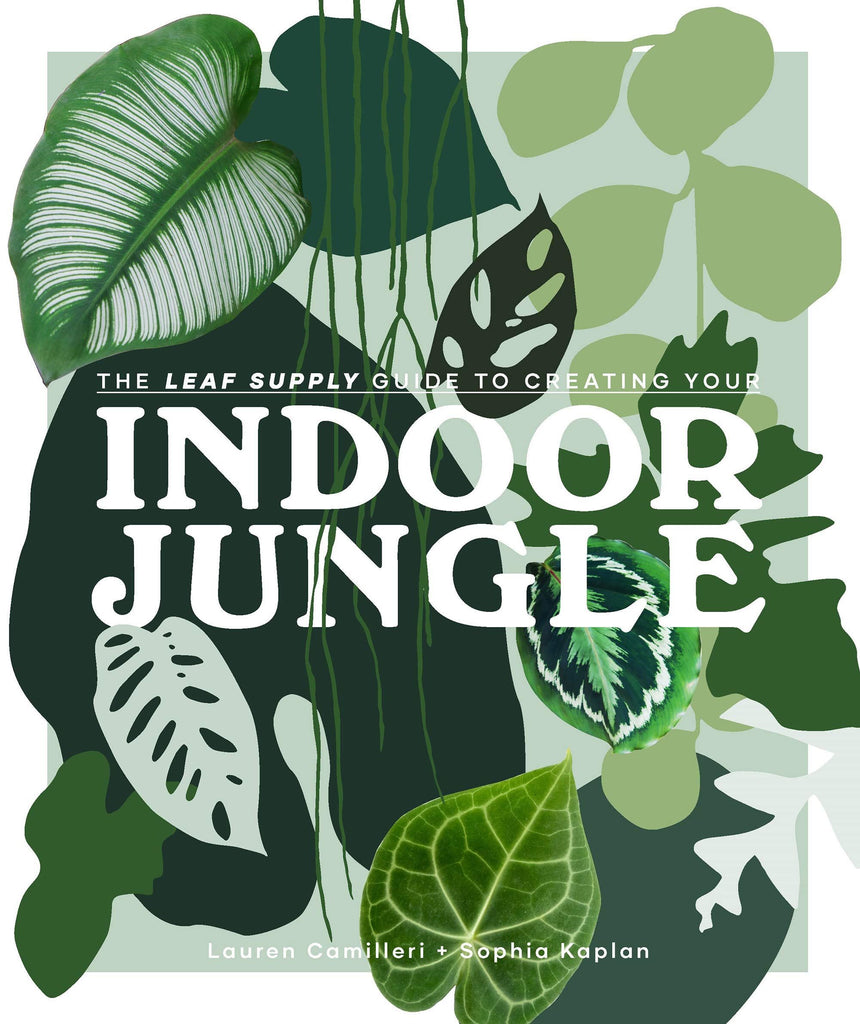 Indoor Jungle House Plant Book