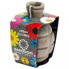 Seedbom Urban Bloomer Bomb Cornflower, Corn Marigold, Corn Poppy, forget-me-not, oxeye Daisy and Red Campion.