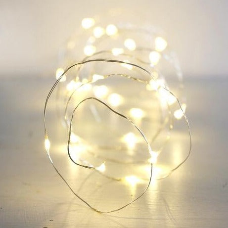 30 Battery Powered LED Wire String Lights Silver Wire