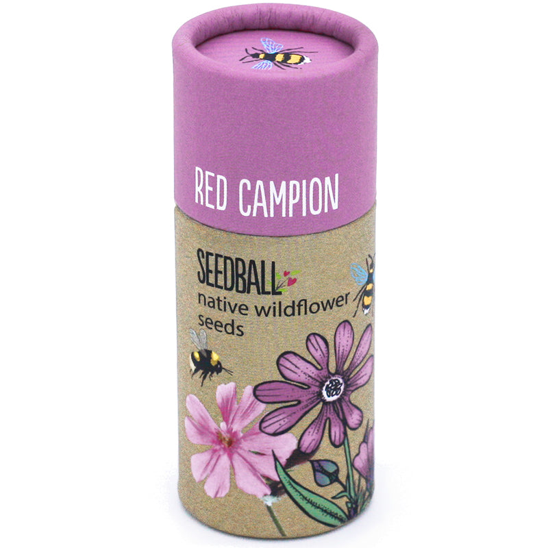 Seedball Wildflower Tube-Red campion pink